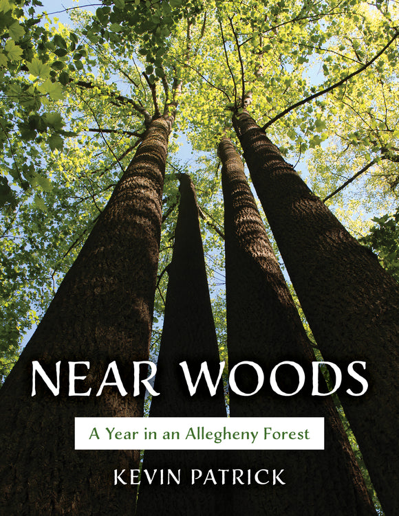 Near Woods: A Year in an Allegheny Forest