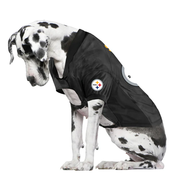 Pittsburgh Steelers Pet Stretch Jersey Big Dog
