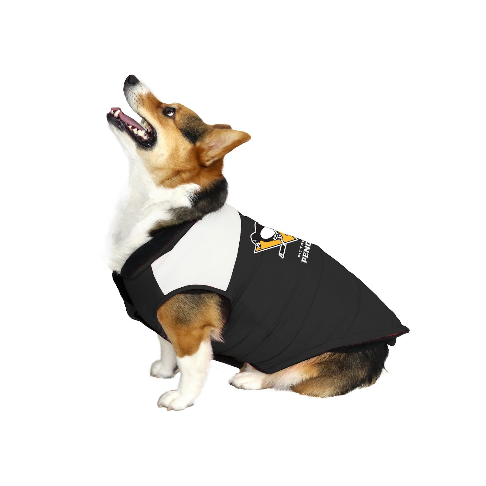 Pittsburgh Penguins Pet Stretch Jersey