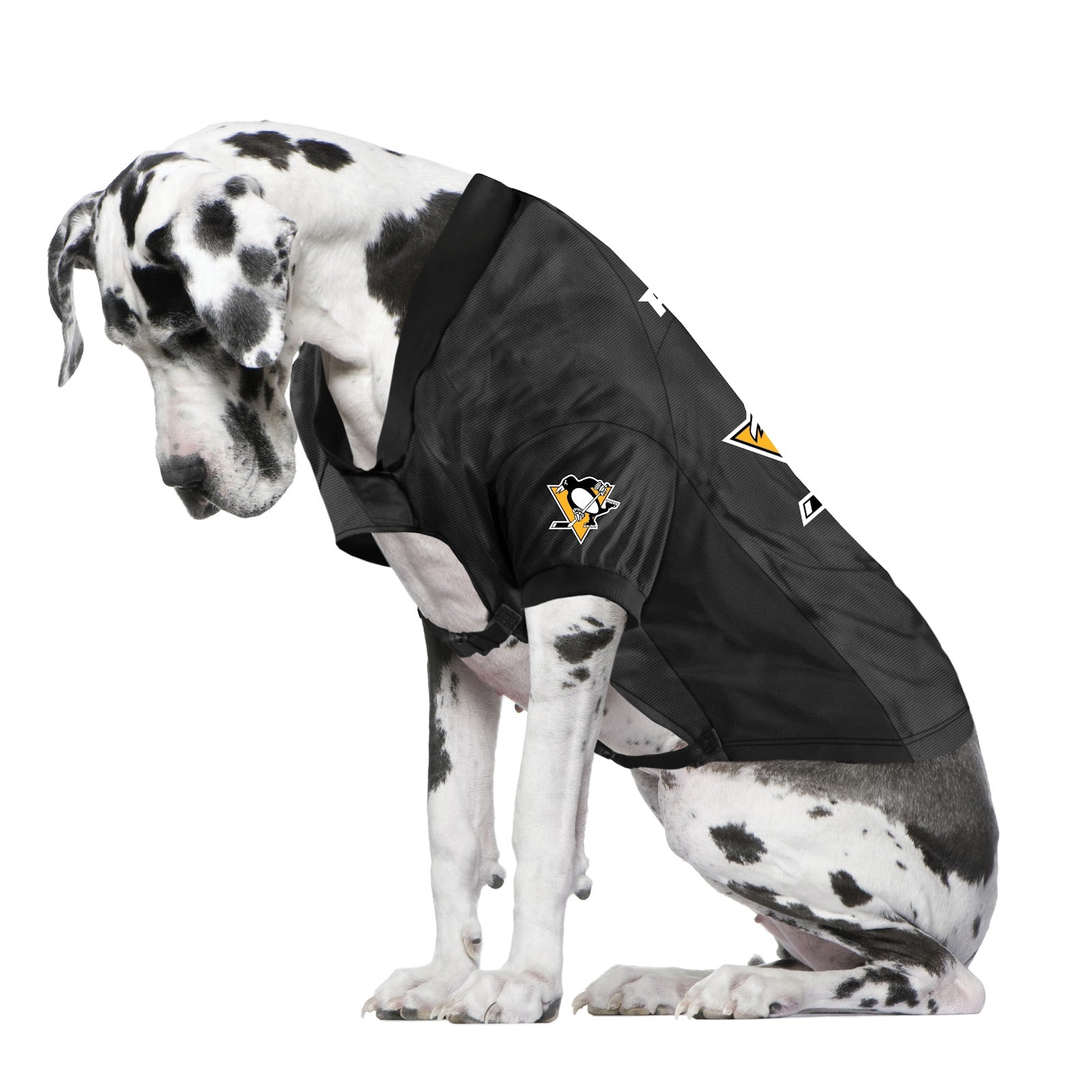 Pittsburgh Penguins Licensed Pet Dog Sportswear