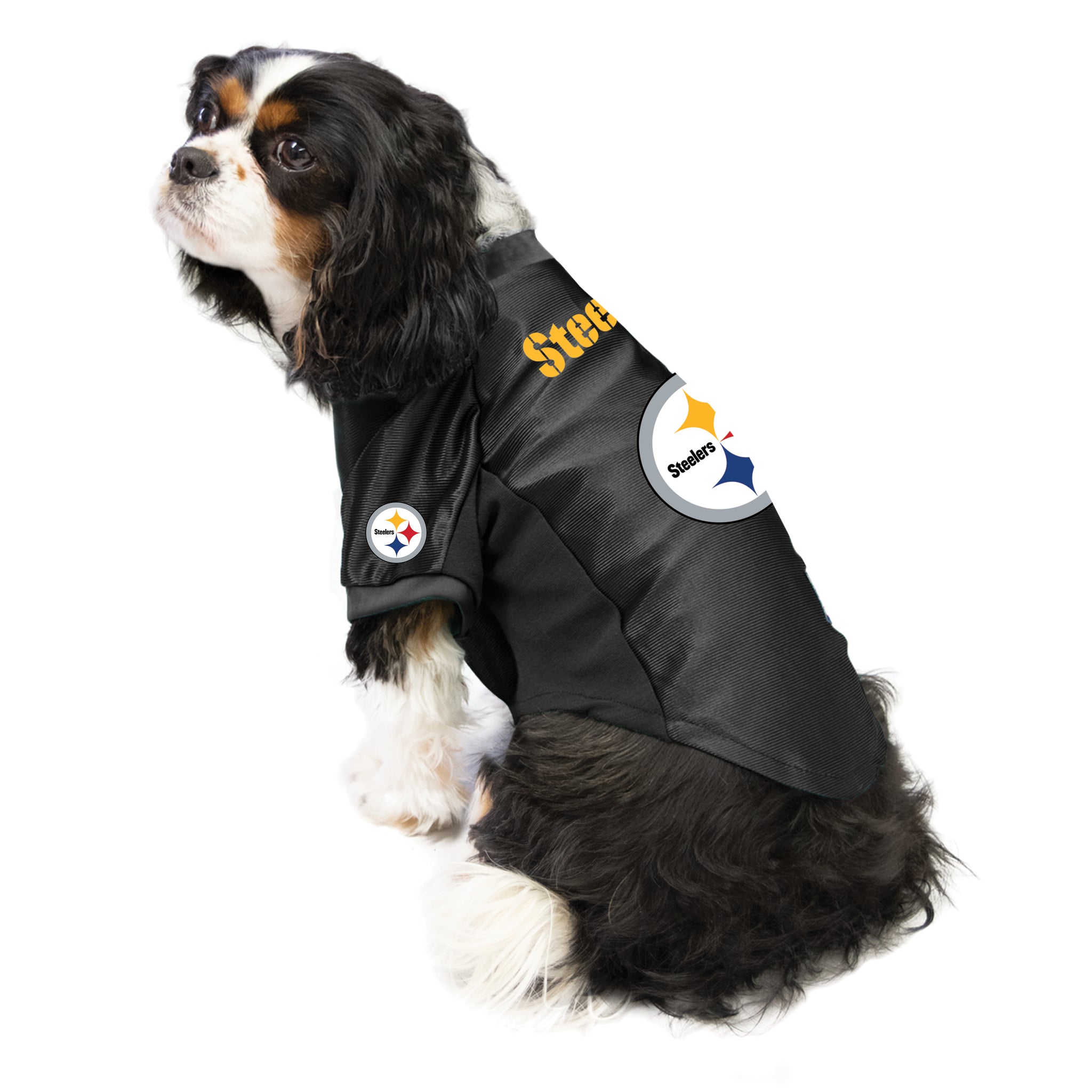 Pittsburgh Steelers Pet Stretch Jersey - Big Dog